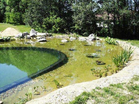 Hồ bơi thuỷ sinh